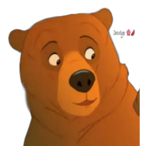 Tierra de osos 🐻🐻 