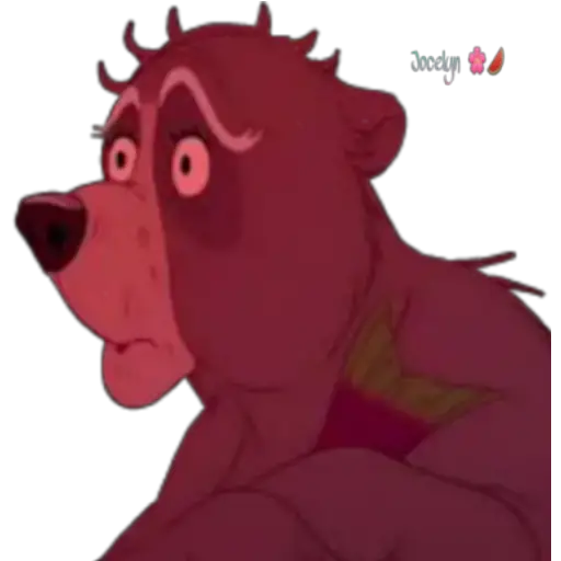 Tierra de osos 🐻🐻 