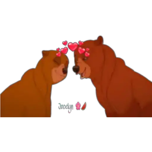 Tierra de osos 🐻🐻 