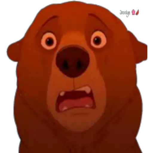 Tierra de osos 🐻🐻 