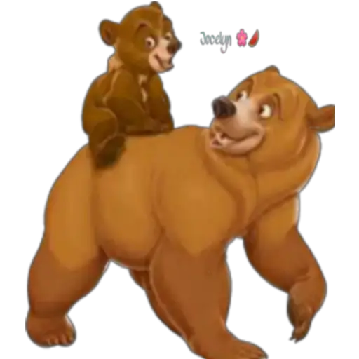 Tierra de osos 🐻🐻 
