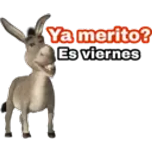 15 Festivo Viernes #