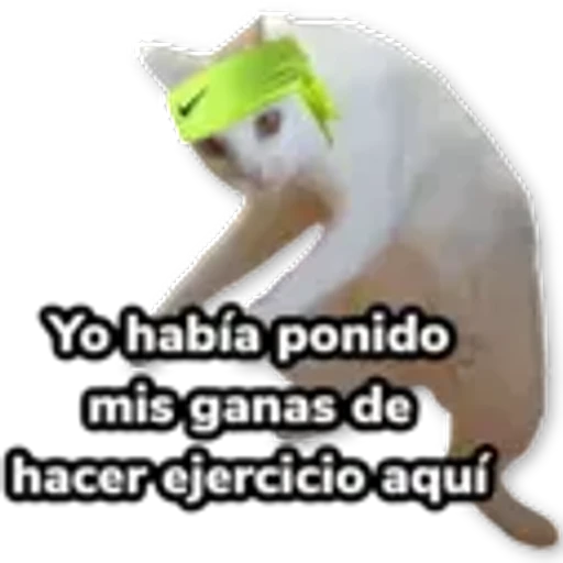 15 Trabajo Ejercicio