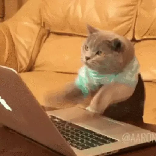 15 Trabajo Ejercicio