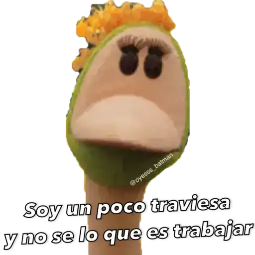 31 minutos