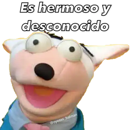 31 minutos