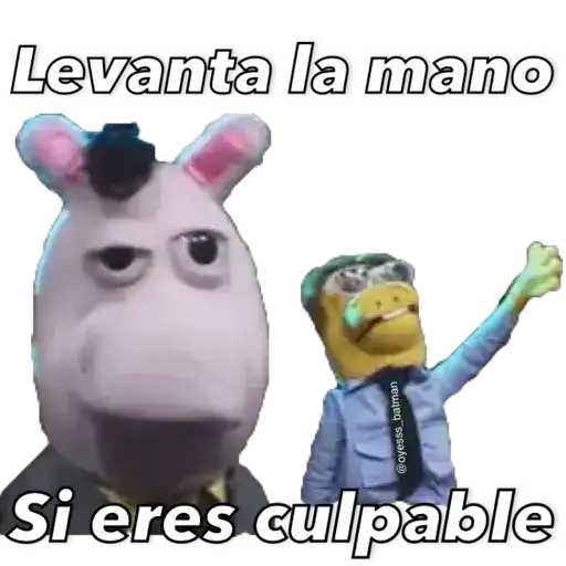 31 minutos