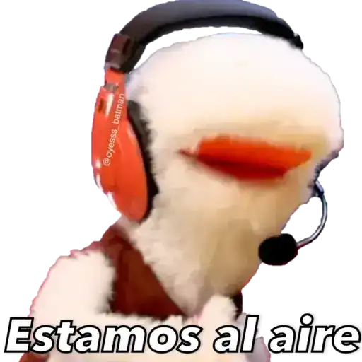 31 minutos