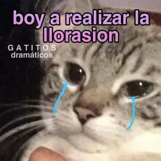 3.3 Llanto ##
