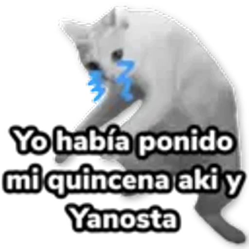 3.6 Rendirse derrotado ##