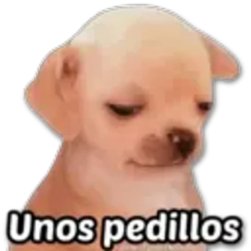 3.7 Rendirse estoy bien #