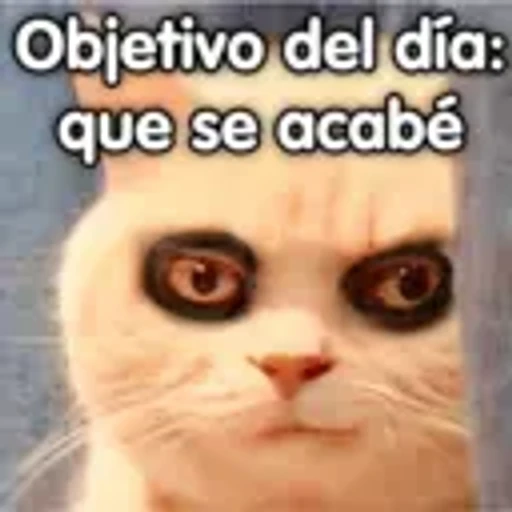 3.8 Rendirse Fetal Golpeado ##