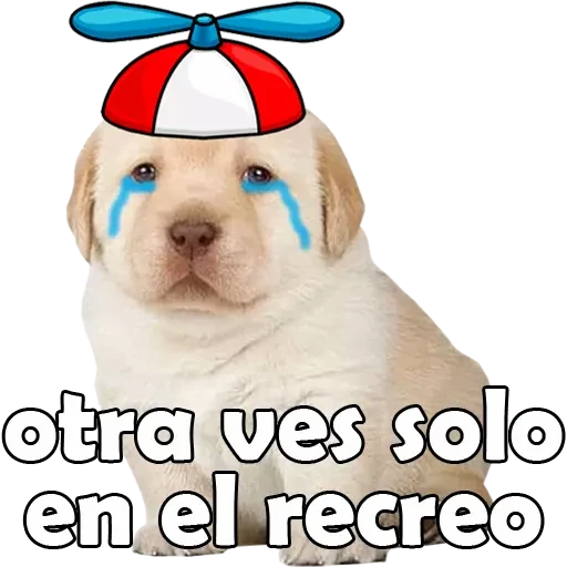 3.9 Solo ##