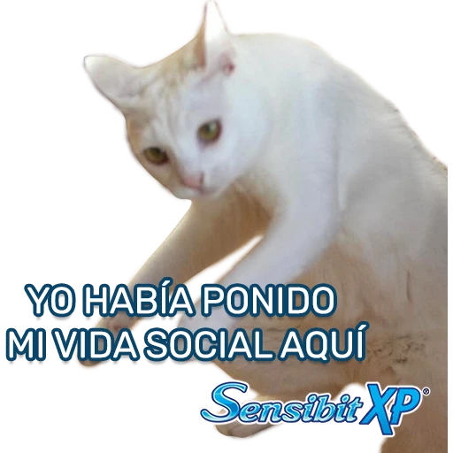 3.9 Solo ##