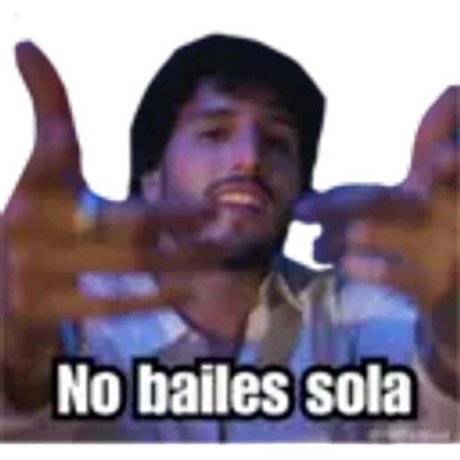 4.3 Baile peluche