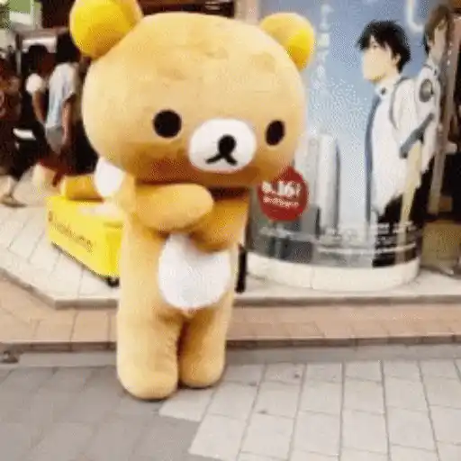 4.3 Baile peluche