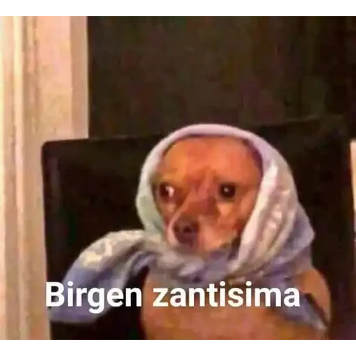 5.2 sorpresa Animal #-