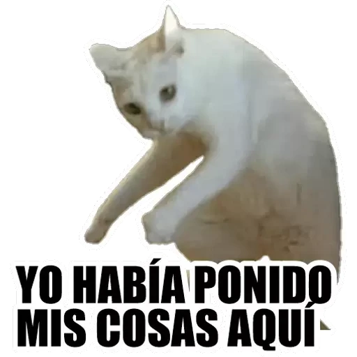 5.2 sorpresa Animal #-