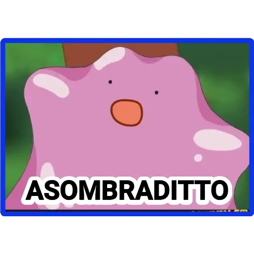 5.3 sorpresa cari ##