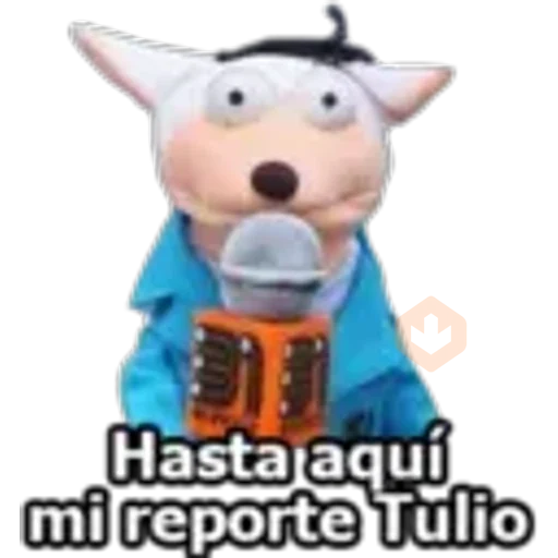 5.6 Caray Declaracion Report ## sticker 27