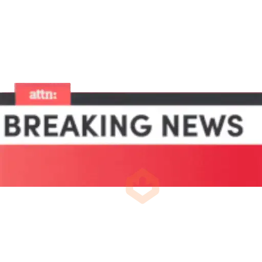 5.6 Caray Declaracion Report ## sticker 17