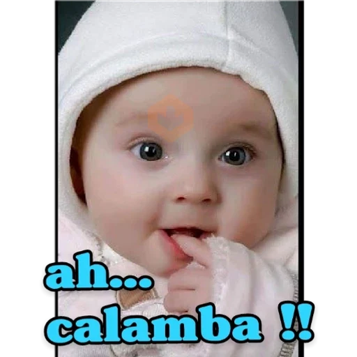 5.6 Caray Declaracion Report ## sticker 23