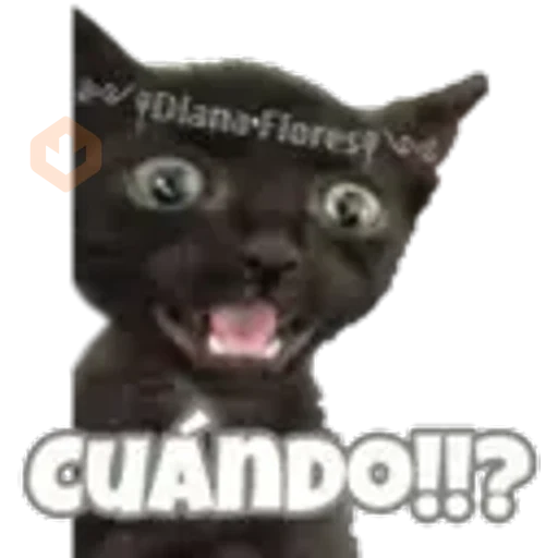 5.8 Desconcertado Interrg # sticker 23