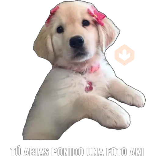 Yo abia ponido 2 sticker 19