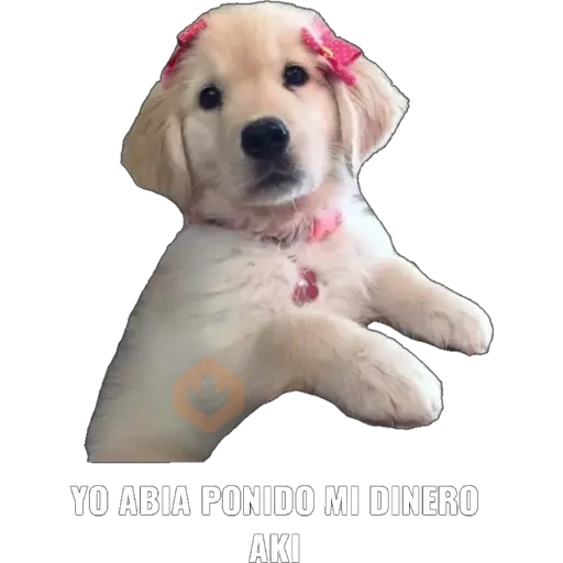 Yo abia ponido 2 sticker 13