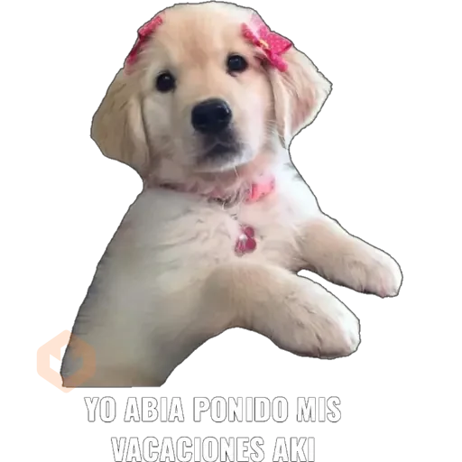 Yo abia ponido 2 sticker 12