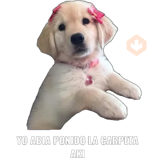 Yo abia ponido 2 sticker 17