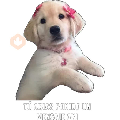 Yo abia ponido 2 sticker 15