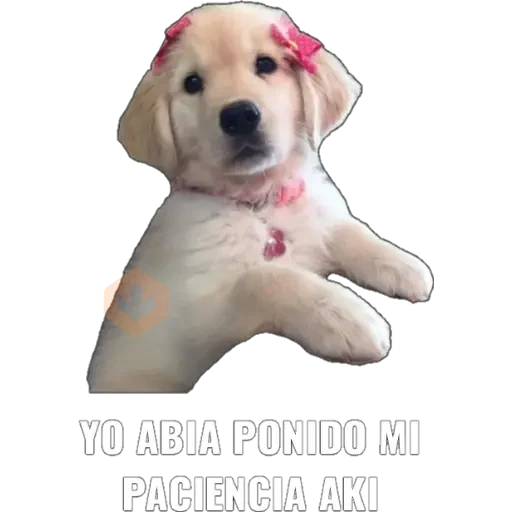 Yo abia ponido 2 sticker 11