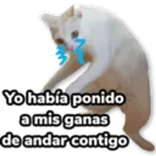 7.9 Desilusion Date cuenta Cuerno #