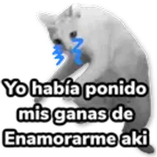 7.9 Desilusion Date cuenta Cuerno #