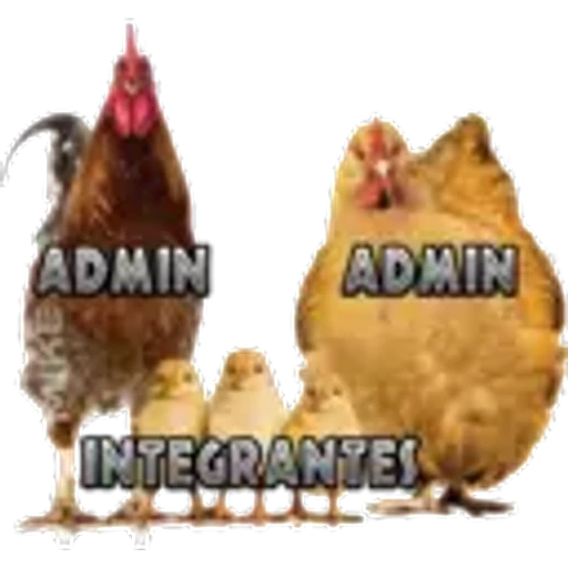 9.0 Admin Policia 1 Admin ##