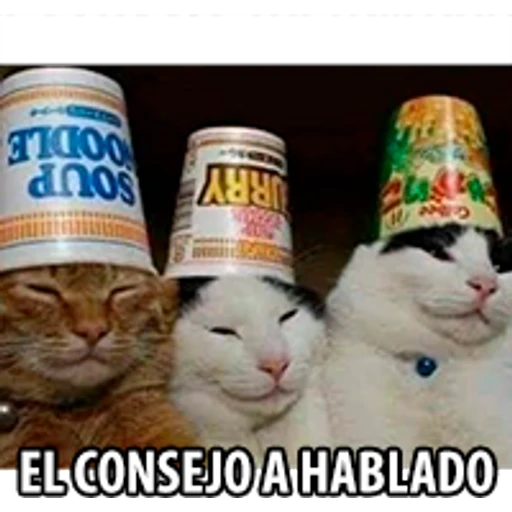 9.0 Admin Policia 1 Admin ##
