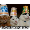 9.0 Admin Policia 1 Admin ##