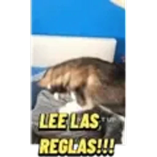 9.2 Admin Poli vigi Regl 3 ##