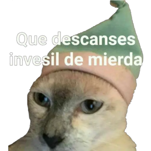 Variados 1 