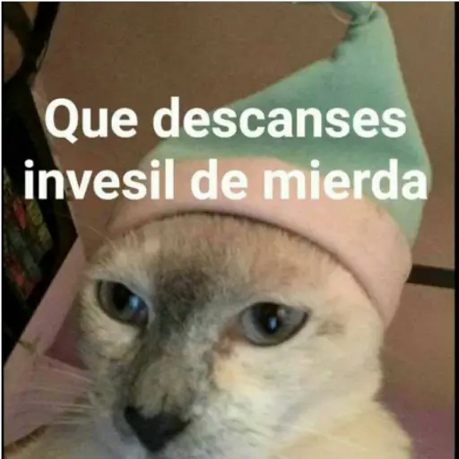 Variados 1 
