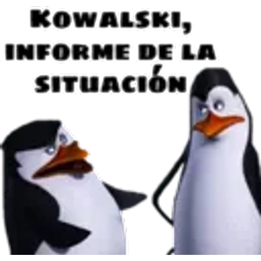 9.3 Admin adv Spam4 ##