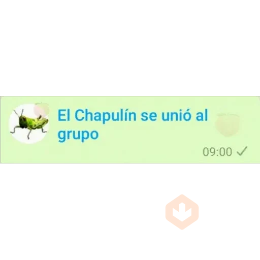 9.6 Grupo general Bienveni ## sticker 27