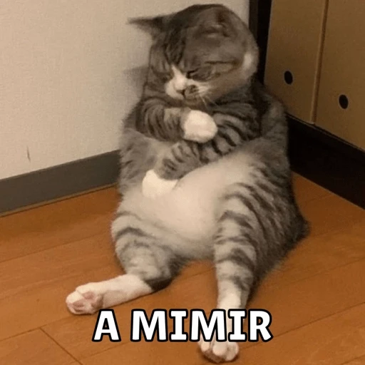 12.2 Cansado BuenasN Mimir