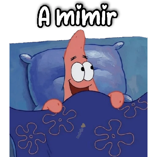 12.2 Cansado BuenasN Mimir