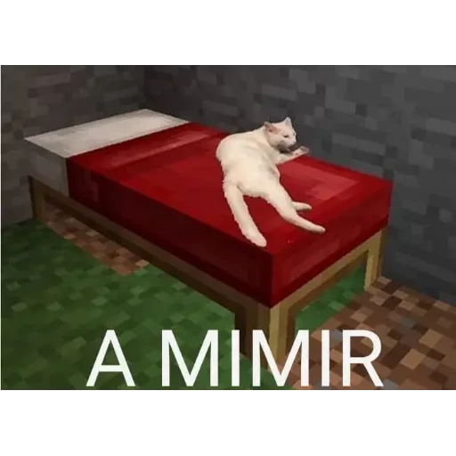 12.2 Cansado BuenasN Mimir