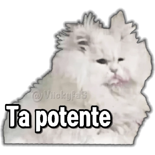 12.2 Cansado BuenasN Mimir