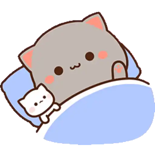 12.2 Cansado Dorm Cari #