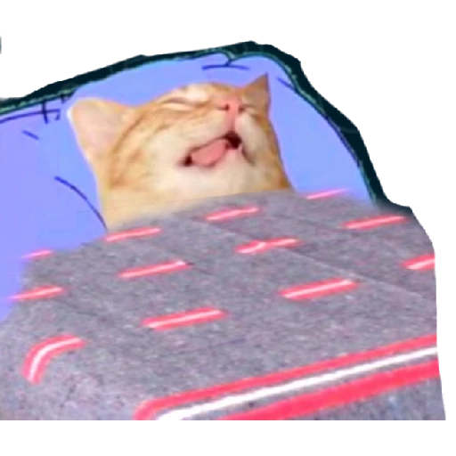 12.2 Cansado Dormido --