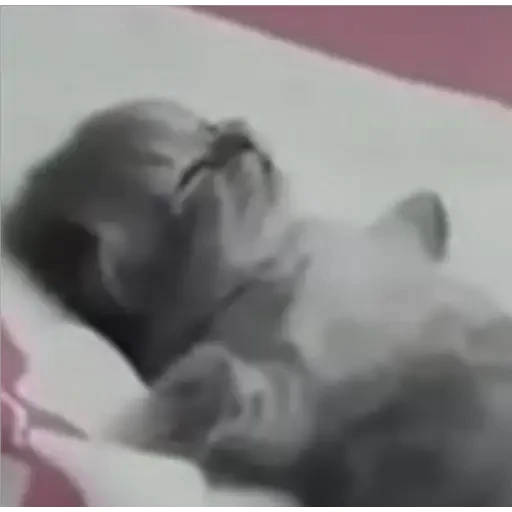 12.2 Cansado Dormido --